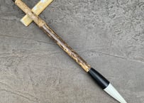 山茶花 大
