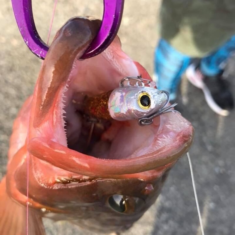 NEXTスピン20g】シーバス、ヒラメ、青物、ロックフィッシュ | BROVIS