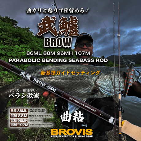 BROVIS WEB STORE