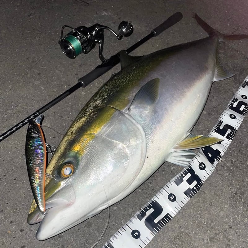 大型ジャークベイトPRESA155（プレサ155）コノシロ、マイワシ、ぶっ