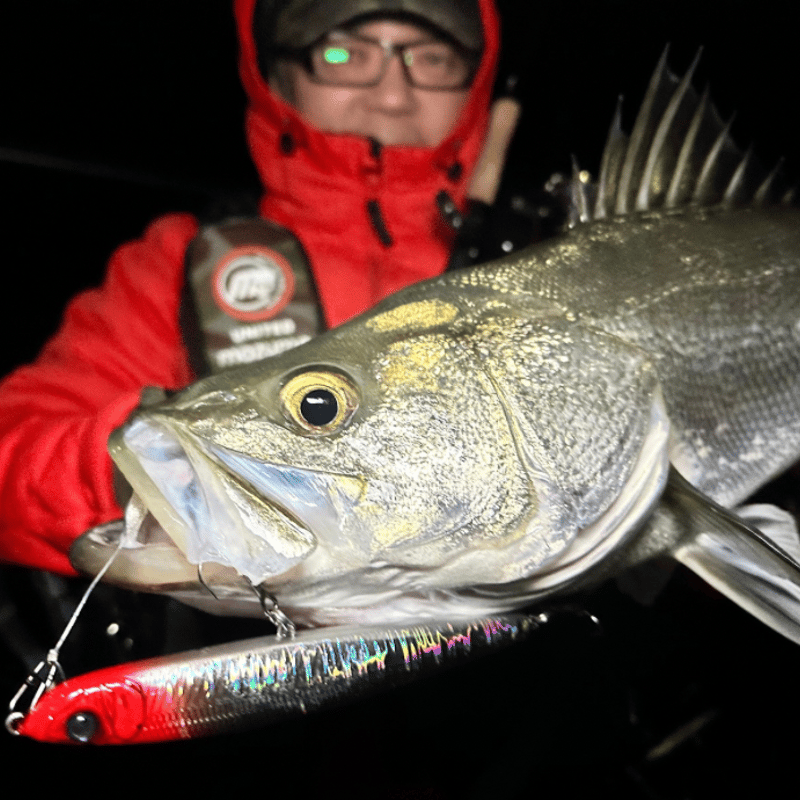 ビッグベイトシンキングペンシルSKEED150（スキード150）大型シンペン