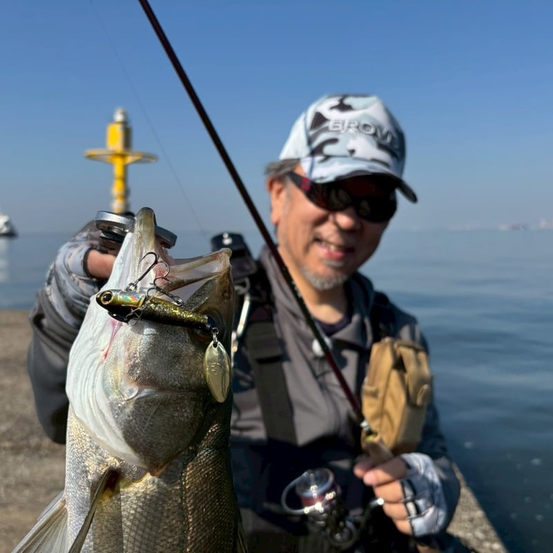 NEXTスピン20g】シーバス、ヒラメ、青物、ロックフィッシュ | BROVIS