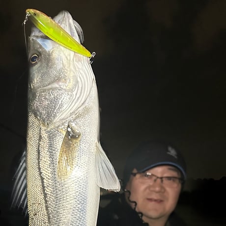 水面直下・スプレモ105F 85Fフローティング