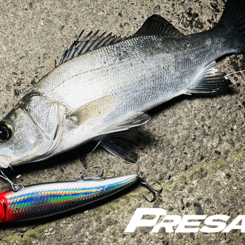 大型ジャークベイトPRESA155（プレサ155）コノシロ、マイワシ、ぶっ