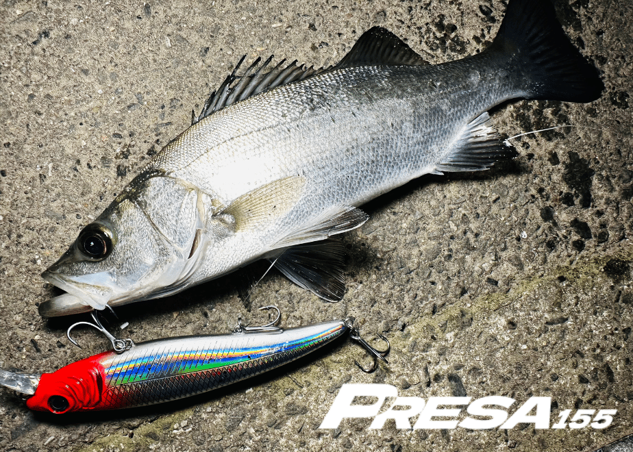 大型ジャークベイトPRESA155（プレサ155）コノシロ、マイワシ、ぶっ
