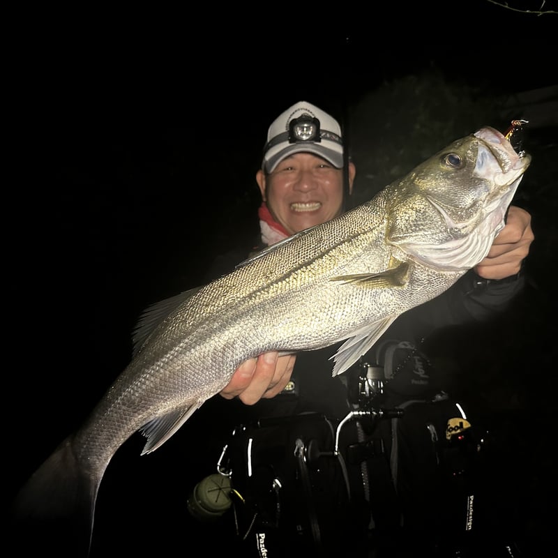 2023新発売・SUPREMO（スプレモ）105mm 85mmシンキング | BROVIS