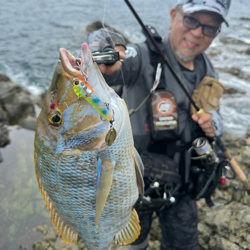 大人気定番カラー・フック強化ソルト対応【NEXTスピン28g】無双