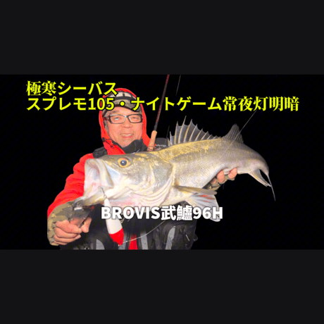 【72時間販売・8本限定】 ・武鱸【BROW】新基準ガイドセッティングシーバスロッド（送料込み）