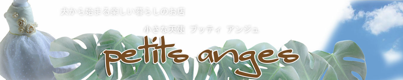 Petits anges(ﾌﾟｯﾃｨｱﾝｼﾞｭ)