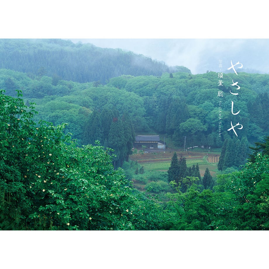 599d3571f22a5b6afa0004b7