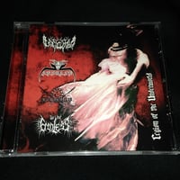 邦楽 CONFUSE Stupid Life CD Stupid & honest ウルフルズ CD - メルカリ