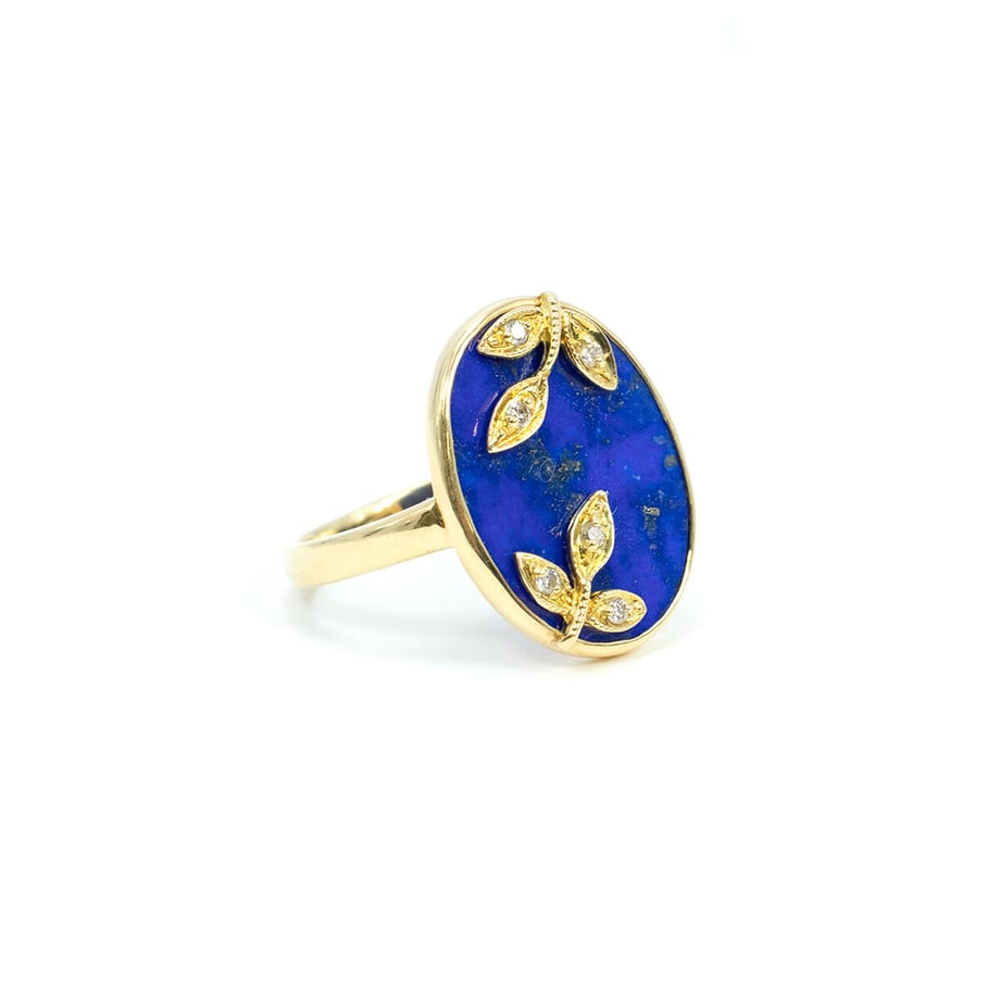 6017d8b34f44300a69075334
