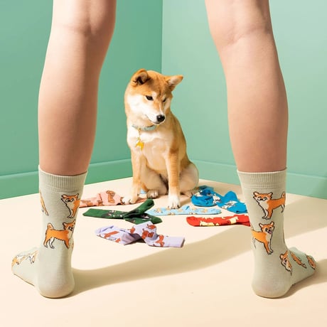 【Coucou Suzette】Shiba くつした