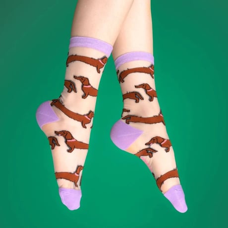【Coucou Suzette】Dachshund Sheer くつした