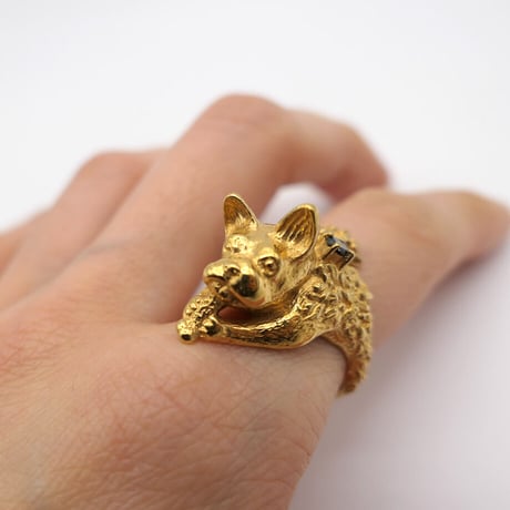 CATEGORY CULOYON | goldandbouncy