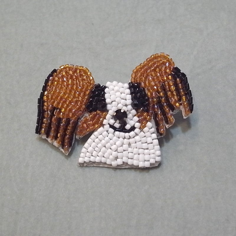 marianne batlle】 DOG Papillon | goldandbouncy marianne batlle】 DOG Papillon | goldandbouncy