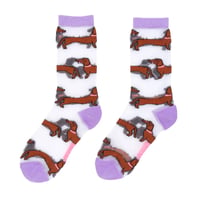 【Coucou Suzette】Dachshund Sheer くつした