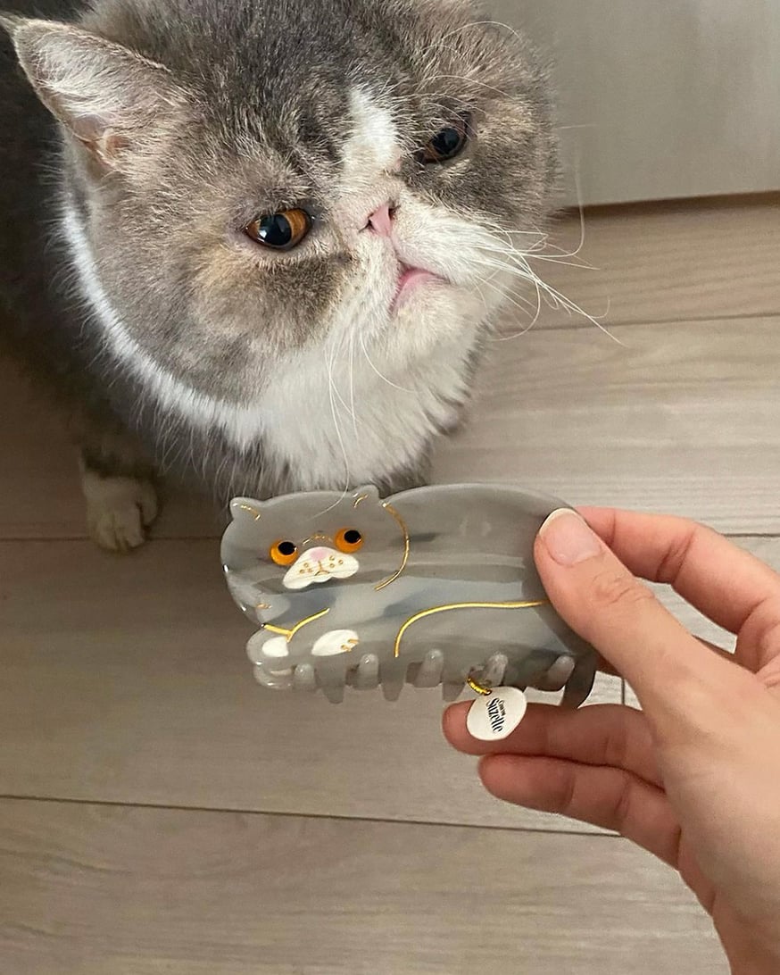 アメショにゃんこのヘアクリップ、ぐで猫 アメショにゃんこのヘアクリップ、ぐで猫