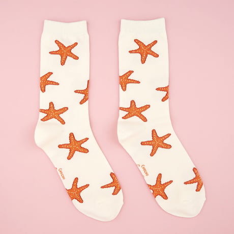 【Coucou Suzette】Starfish くつした