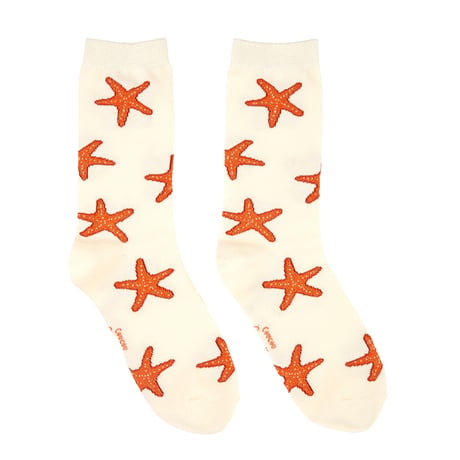 【Coucou Suzette】Starfish くつした