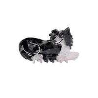 【Coucou Suzette】Border Collie ヘアクリップ
