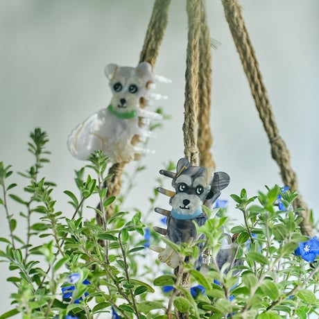 【Coucou Suzette x goldandbouncy】Miniature Schnauzer ミニチュアシュナウザー ヘアクリップ （ホワイト）