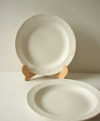 ★リクエスト入荷　ヒカリノオト　25cmリムプレート