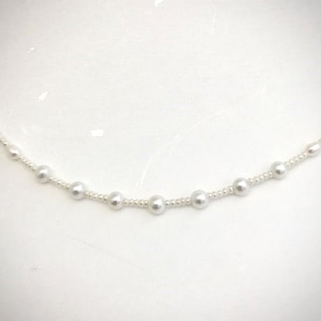 White trad（ホワイトトラッド）