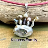 Kinoco x Family（きのこファミリー）