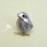 春告鳥
