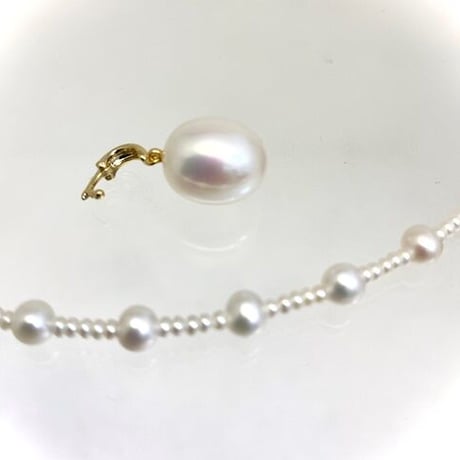 White trad（ホワイトトラッド）