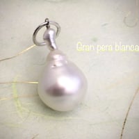 Gran pera blanca（グランペラブランカ）