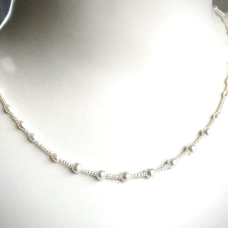 White trad（ホワイトトラッド）