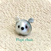 Pupi-chan（パピちゃん）