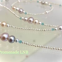 Promenade LNB（プロムナードLNB）