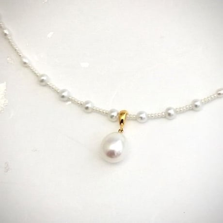 White trad（ホワイトトラッド）