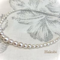 Hakubi（白眉）