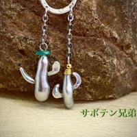 サボテン兄弟