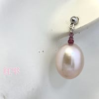 Benisizuku（紅雫）