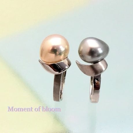 Moment of bloom C（花開くとき）