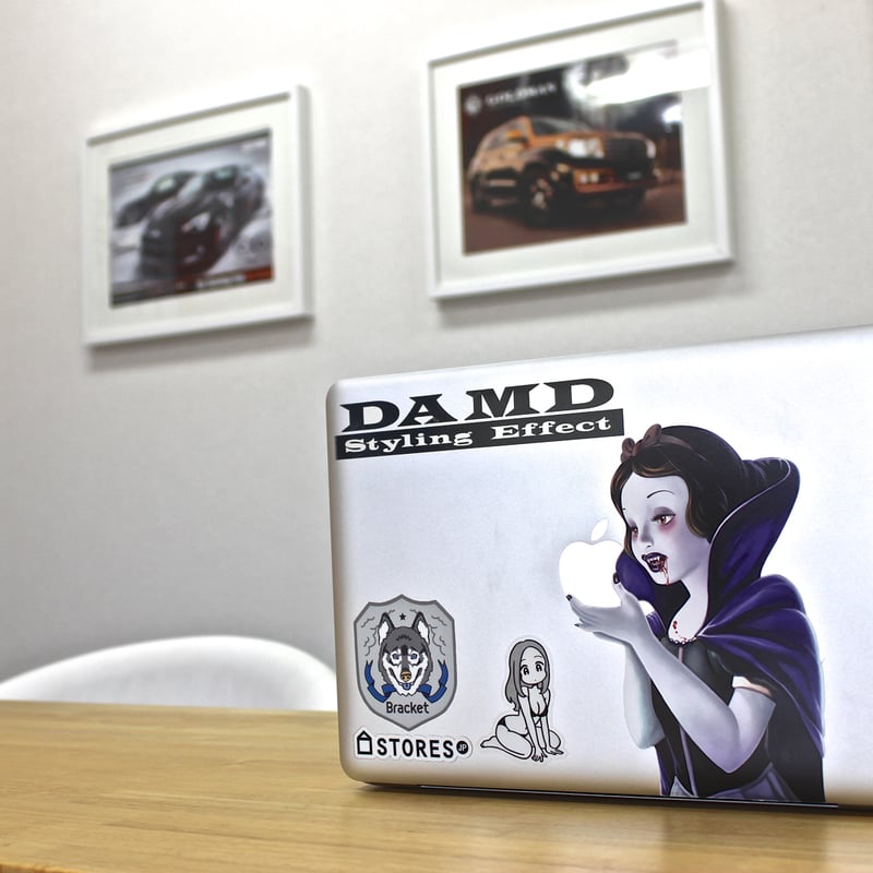 DAMD Styling Effect Sticker 【2枚組】 | DAMD ONLINE