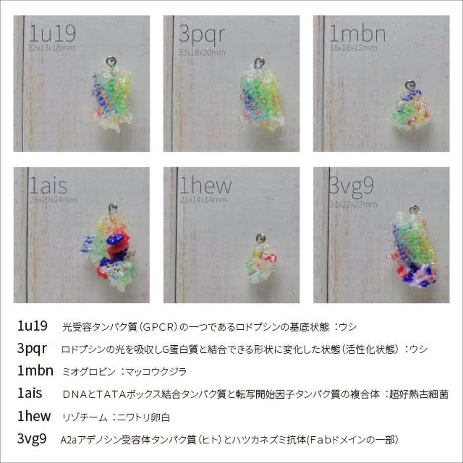 5b769d99ef843f5e5600054c