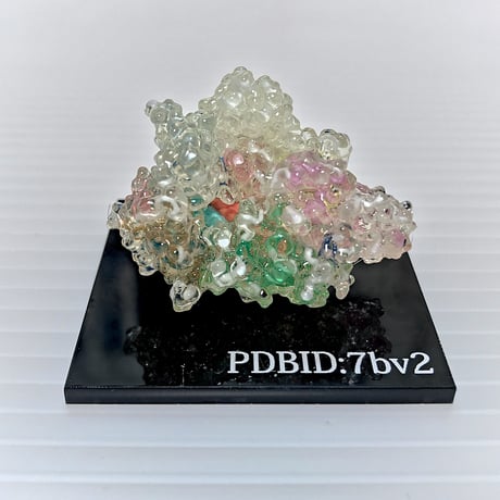 SilMol-mini　COVID-19　寄付対象モデル　PDBID:7bv2　400万倍スケール