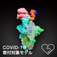 SilMol-mini　COVID-19　寄付対象モデル　PDBID:7a98　200万倍スケール
