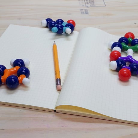 BasePairPuzzle　Mini set