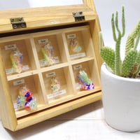 SilMol-mini2　6items set   A-type