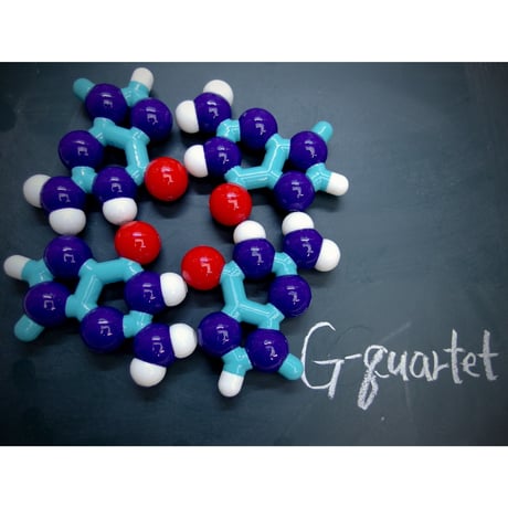 BasePairPuzzle　G-Quartet set