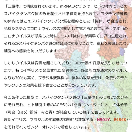 SilMol-mini　COVID-19　寄付対象モデル　PDBID:7a98　200万倍スケール