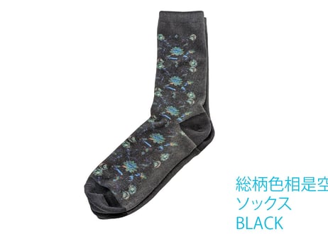 色相是空ソックス