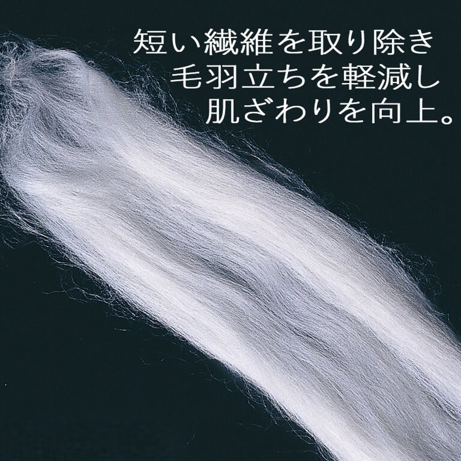 645cb02238b3a5003615ccc1